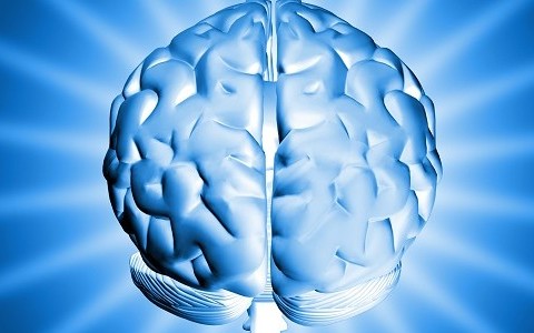 La méditation freine le vieillissement du cerveau